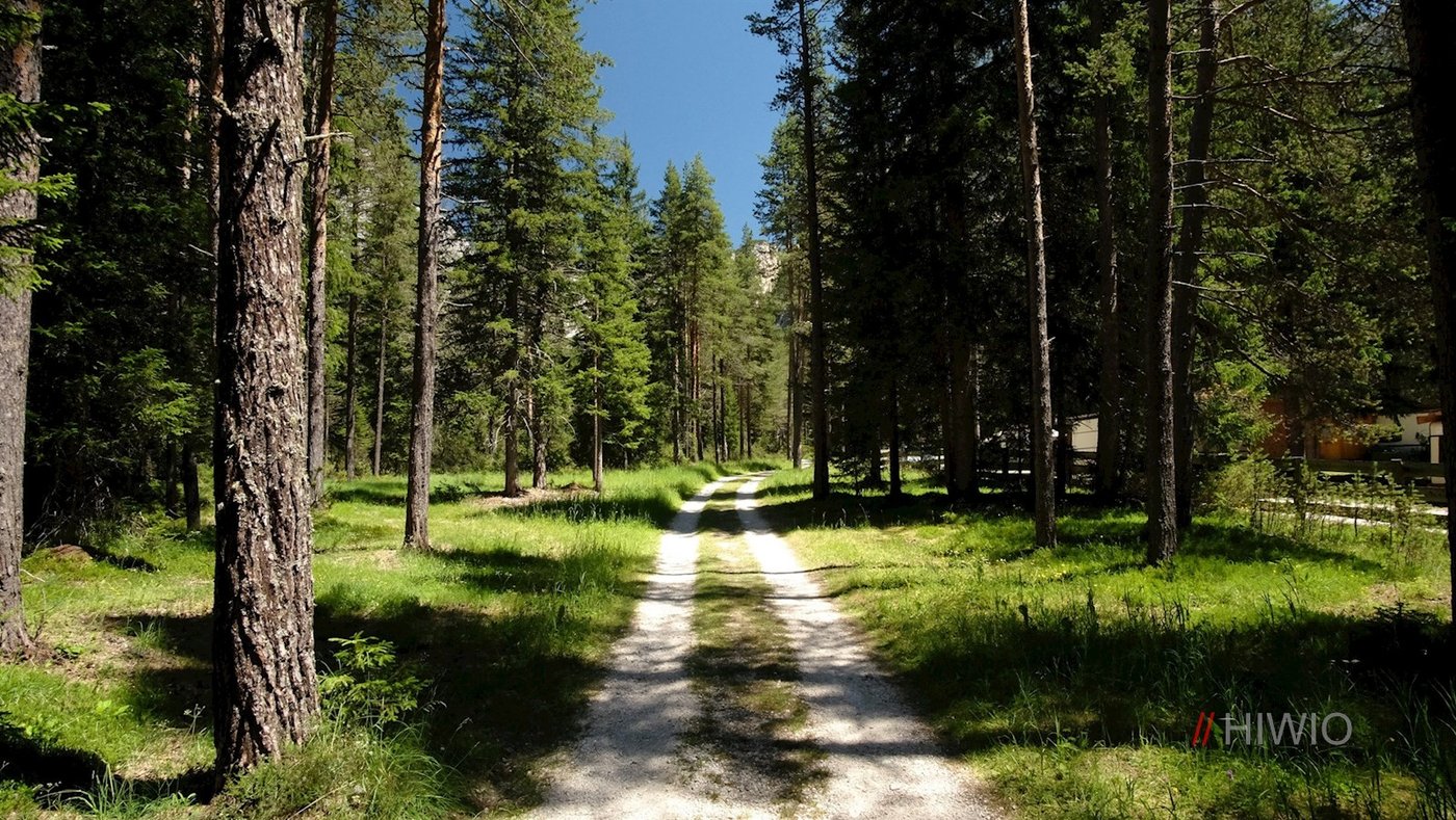 Waldweg in Richtung Capanna Alpina