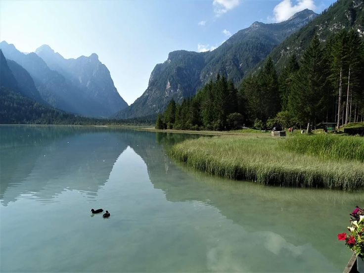 Toblacher See mit Spiegelung und Enten