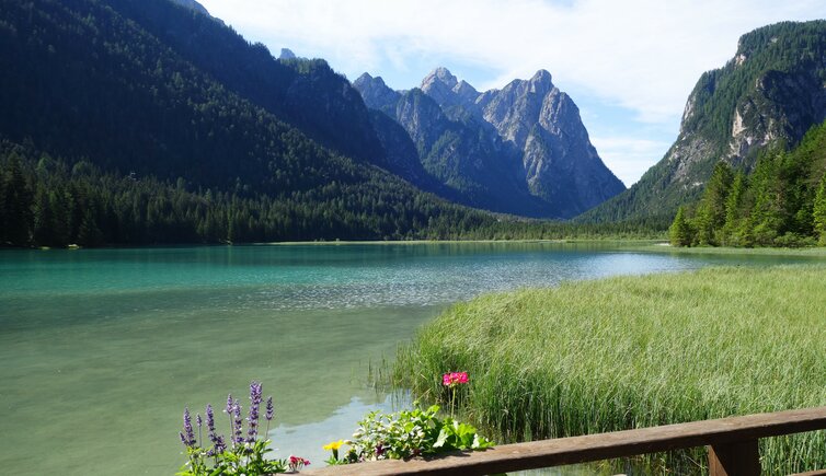 Toblacher See mit Dolomiten